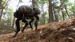 Fc 0211 Trelleborg Big Dog2 Fc 0211 Trelleborg Big Dog2