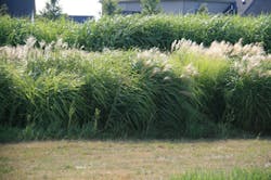 Fc 0911 Biofuel Fc 0911 Biofuel