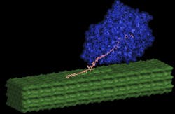 Fc Blog 0613 Enzyme Fc Blog 0613 Enzyme