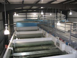 Fc 0514 Da Photo Fc 0514 Da Photo