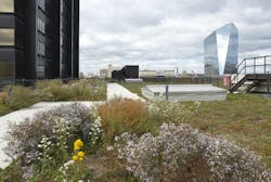 Fc 0914 Fa Green Roof Fc 0914 Fa Green Roof