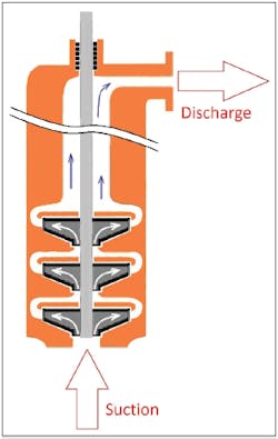 Fc 0115 Pbs Seals Fig7 Fc 0115 Pbs Seals Fig7