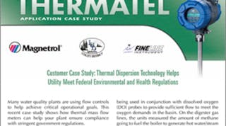 Thermatel Thermal Flowmeter Case Study
