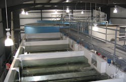 Zero Liquid Discharge Process at an Ethanol Facility