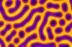 NIST Advanced Materials Research NIST Advanced Materials Research