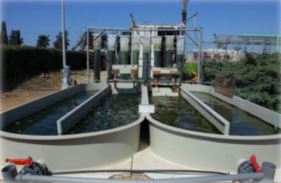 Algae-Based Wastewater Treatment