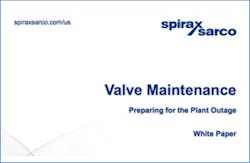 Valve Maintenance White Paper