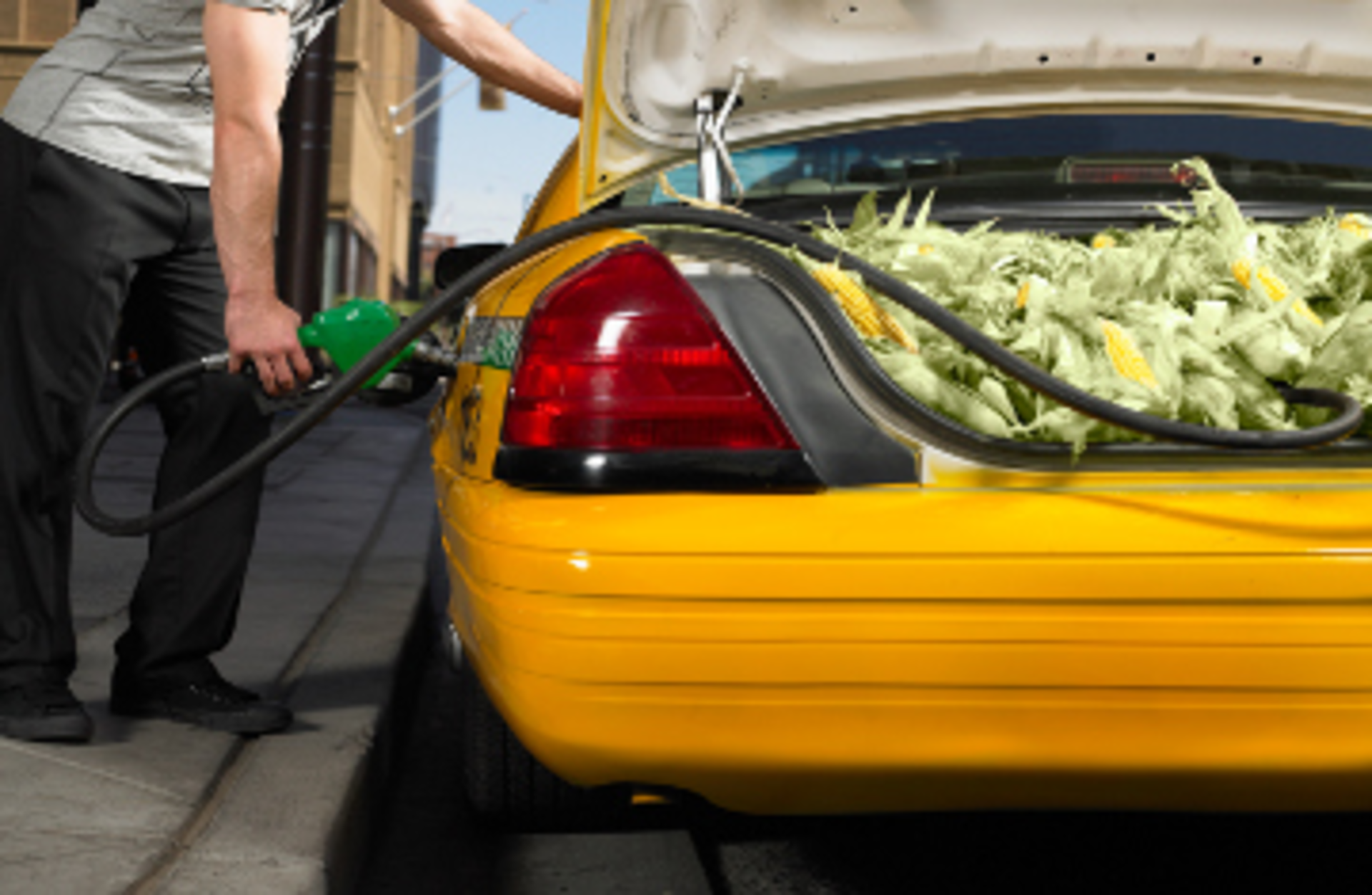 Renewable Fuel RyanMcVay/iStockPhoto/ThinkStock