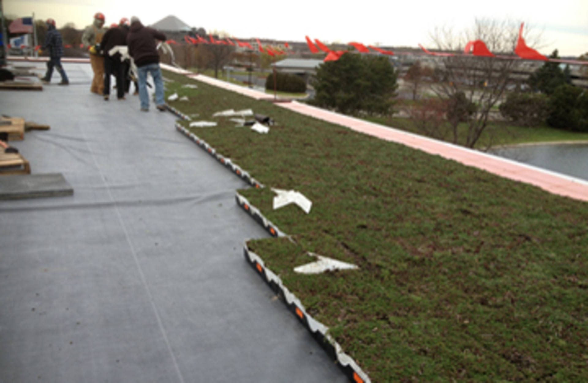 Badger Meter Green Roof Installation