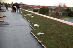 Badger Meter Green Roof Installation Badger Meter Green Roof Installation