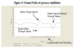 Steam Probe at Process Conditions Steam Probe at Process Conditions