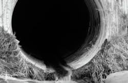 TS_116512152GettyImages/iStock/ThinkStock TS_116512152GettyImages/iStock/ThinkStock