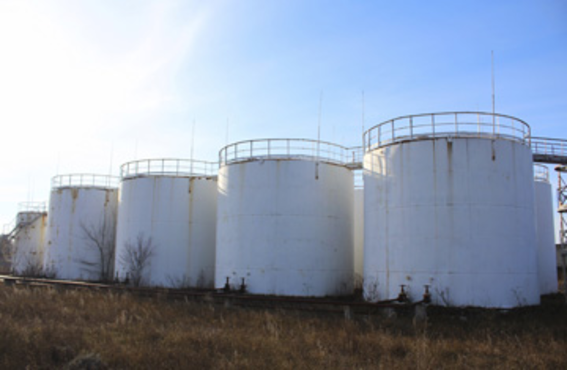 TS_459169421AlexSchmidt/iStock/ThinkStock