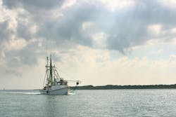 iStock/Willard iStock/Willard