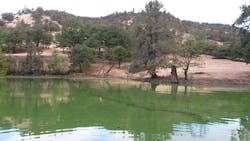 Toxic Microcystis algae (blue-green algae) grow in a large bloom in the Copco Reservoir on the Klamath River, posing health risks to people, pets and wildlife. (Photo courtesy of Oregon State University)