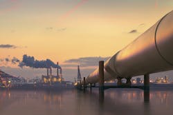 Michal Krakowiak/iStock Michal Krakowiak/iStock