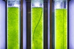 Toa55/iStock Toa55/iStock