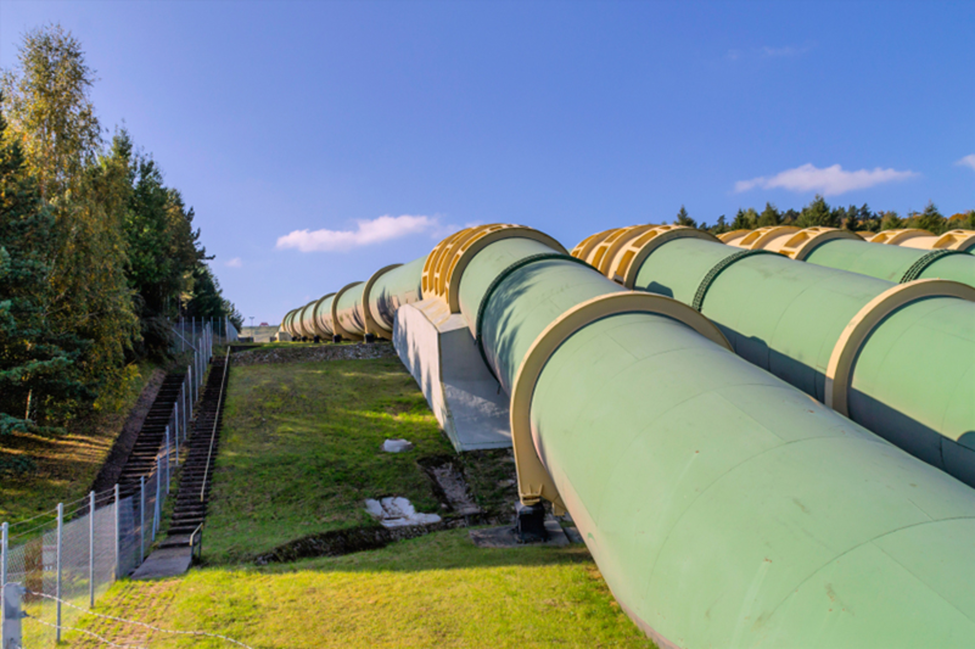 Pawel_Kisiolek/iStock