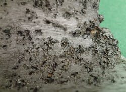 0617 A22628 2 0617 A22628 2