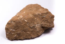 Oil shale stone. prim91/iStock