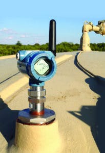 Rosemount Fig 2 Vertical 800 205x300 Rosemount Fig 2 Vertical 800 205x300