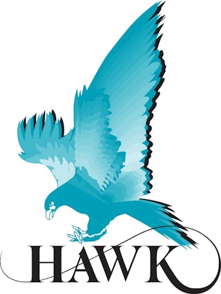 Hawk Logo Rgb