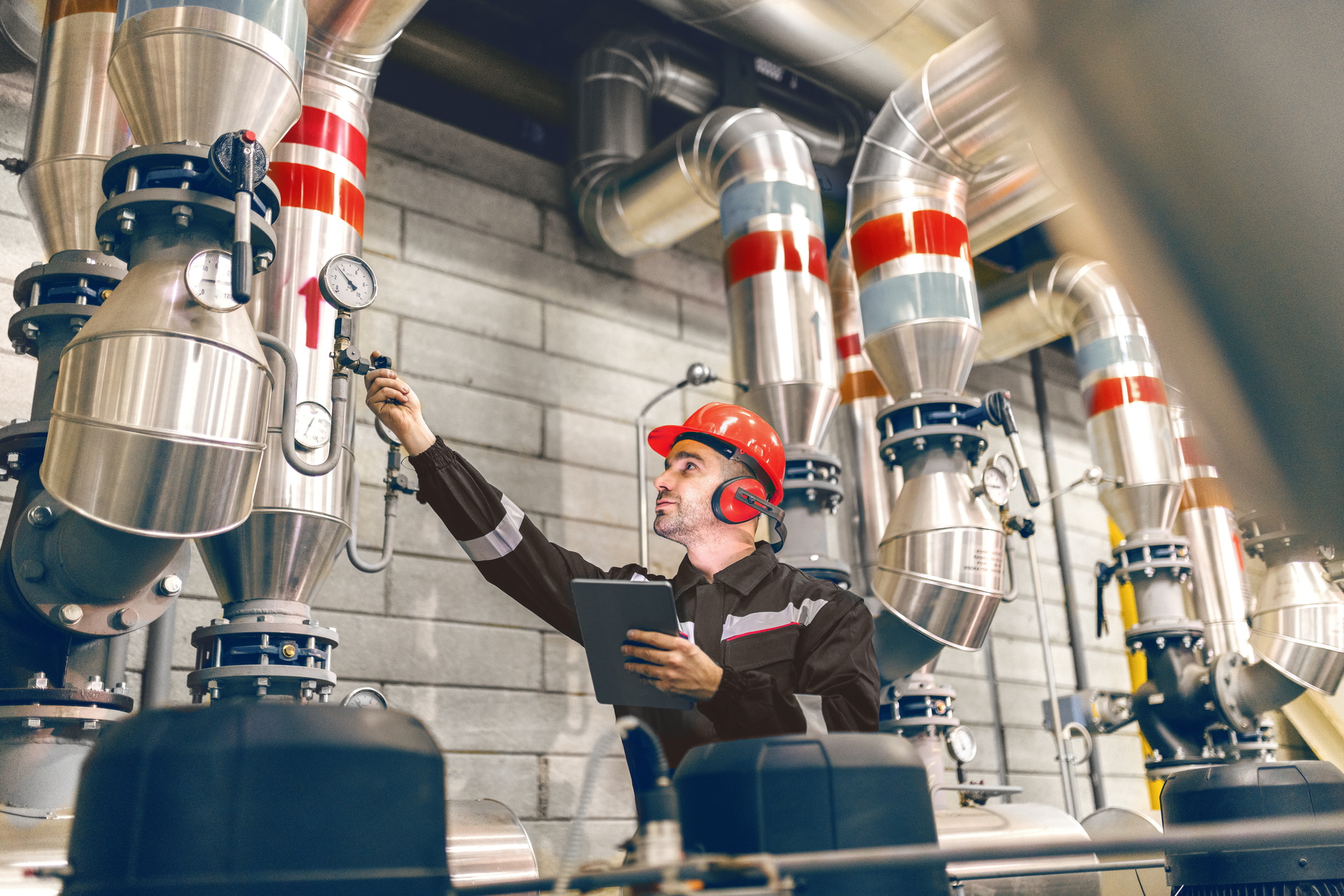 Alicat Jan2021 Articleimage