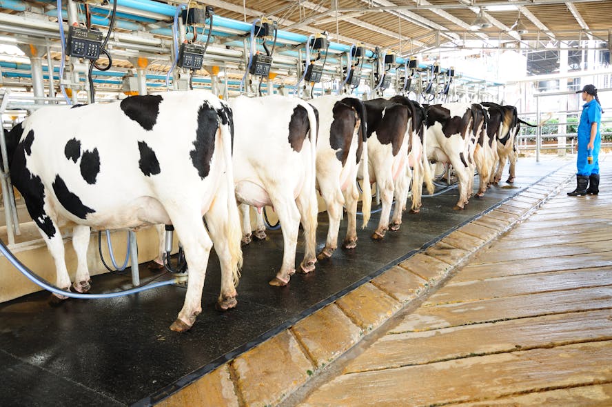 Case Study: Milk production monitoring at a dairy farm | P.I. Process ...