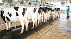 Dreamstime Xxl 21264206 (1) Dreamstime Xxl 21264206 (1)