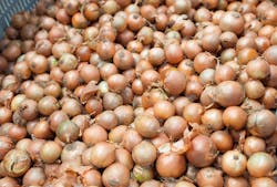 Dreamstime Xxl 45410772 6140cd6c8d063 Dreamstime Xxl 45410772 6140cd6c8d063