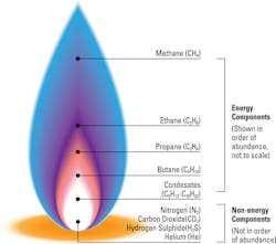 Figure 3: Natural gas composition.