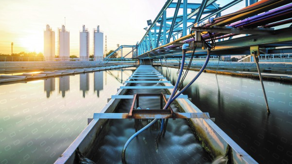 Collo Image 622a1c671fa6e