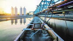 Collo Image 622a1c671fa6e Collo Image 622a1c671fa6e