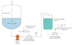 Figure 3: A chromatography schematic. Figure 3: A chromatography schematic.