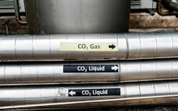 667b238ae67efc2f29d9addb Shutterstock 2006240585 667b238ae67efc2f29d9addb Shutterstock 2006240585